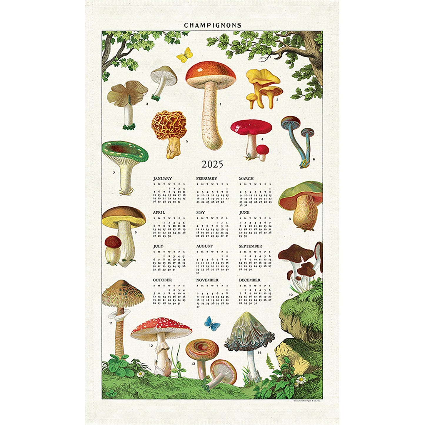 Cavallini Tea Towel Calendar-Mushrooms 2025