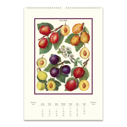 Cavallini Wall Calendar-Farmer's Market 2025